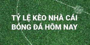 Soi Tỷ Lệ Kèo Hôm Nay Cùng 1xbet Với Dữ Liệu Chuẩn Xác